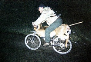 Is that A deer on the bike?
